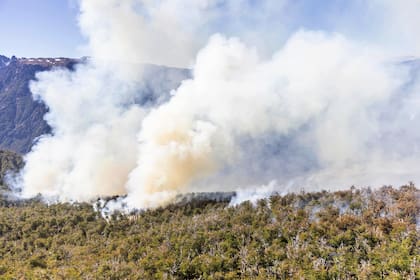 El fuego comenzó a fines de enero