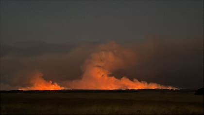 El fuego devoró en pocas horas el campo del productor Alejandro Delfino, en La Pampa