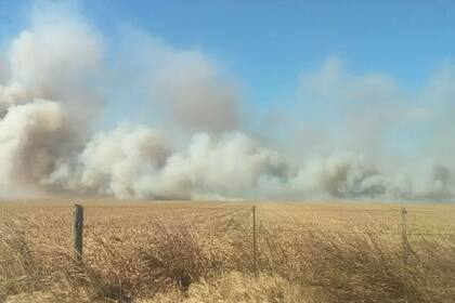 El fuego en el campo