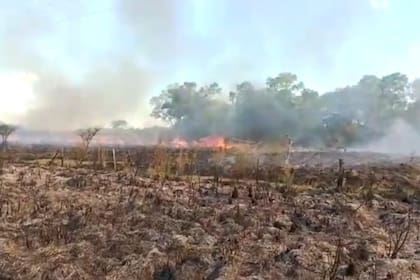 El fuego en el campo de Juan Capozzolo en el Chaco comenzó ayer por la tarde
