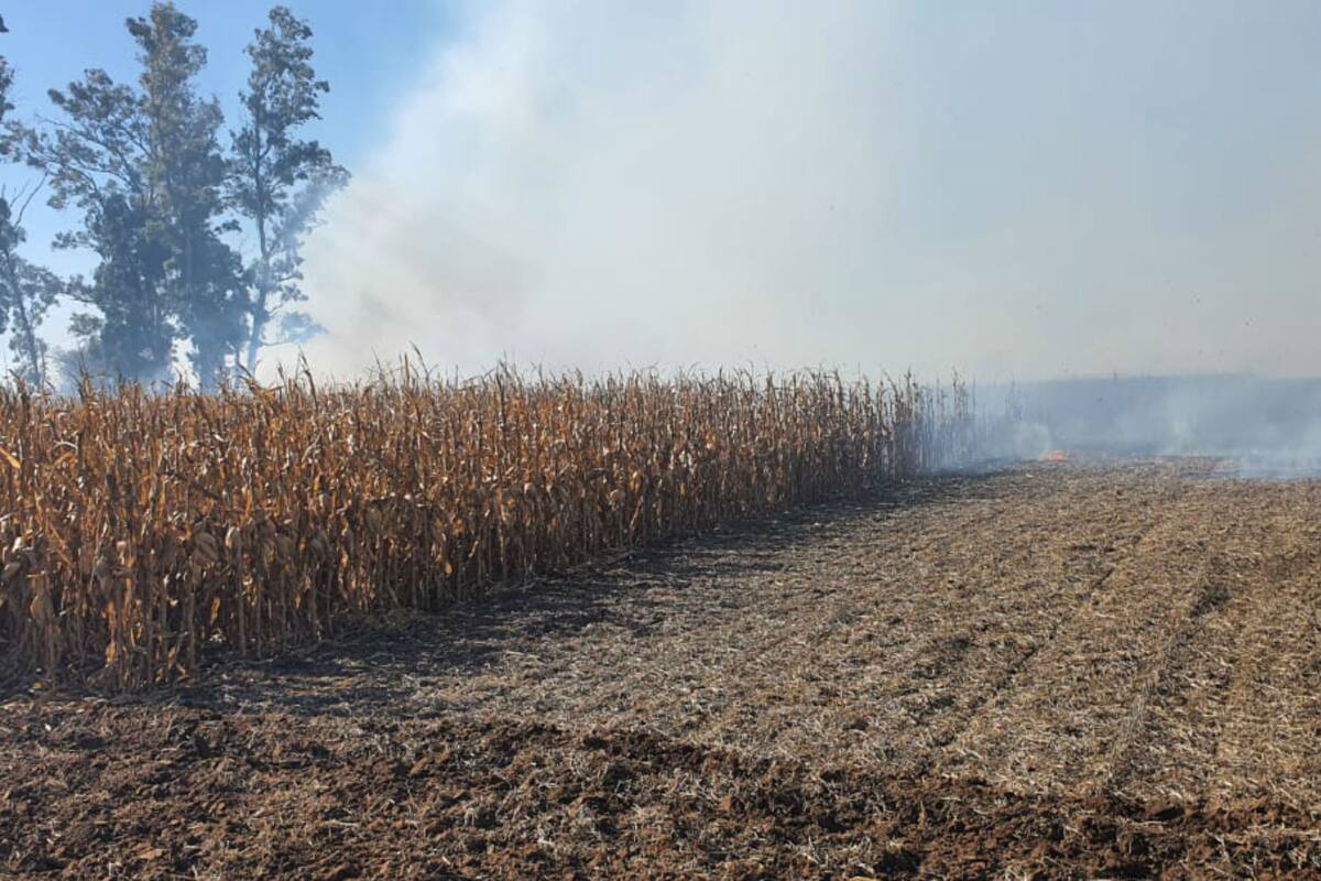 El fuego inició por una plantación de maíz, por lo que se expandió rápidamente