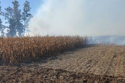El fuego inició por una plantación de maíz, por lo que se expandió rápidamente