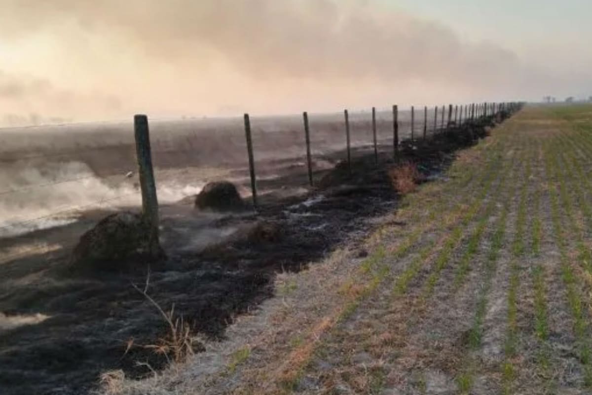 El fuego pudo ser controlado luego de varias horas