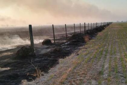 El fuego pudo ser controlado luego de varias horas