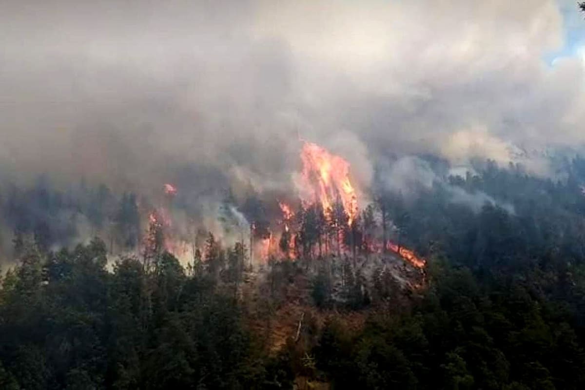 El fuego que se desató ayer en la Cascada Escondida, en las afueras de la localidad de El Bolsón