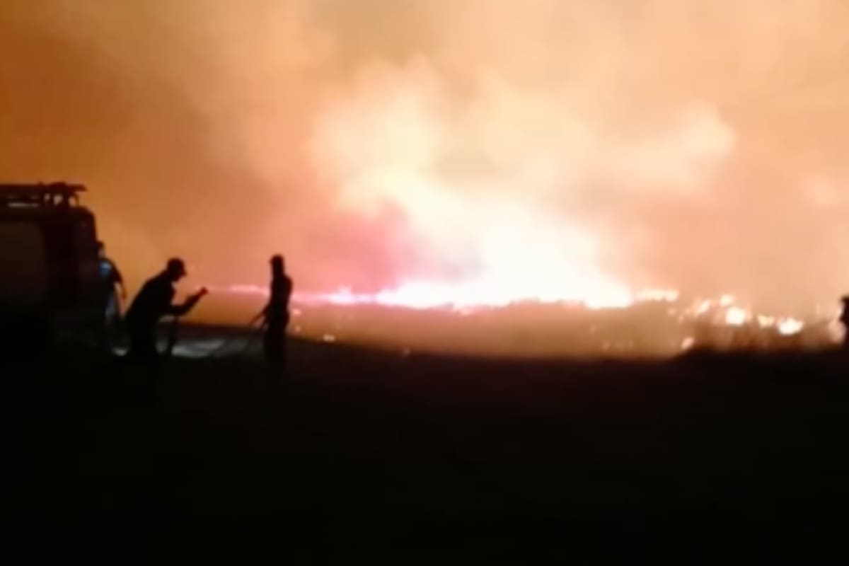 El fuego y la enorme sequía que atraviesa la provincia de Corrientes ya arrasó con cerca de 800.000 hectáreas
