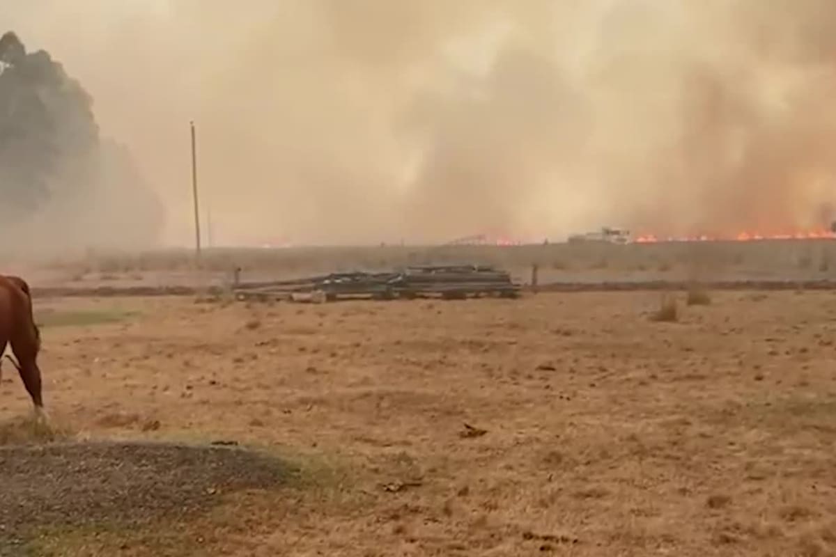 El fuego ya consumió más de 785.000 hectáreas