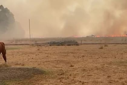 El fuego ya consumió más de 785.000 hectáreas
