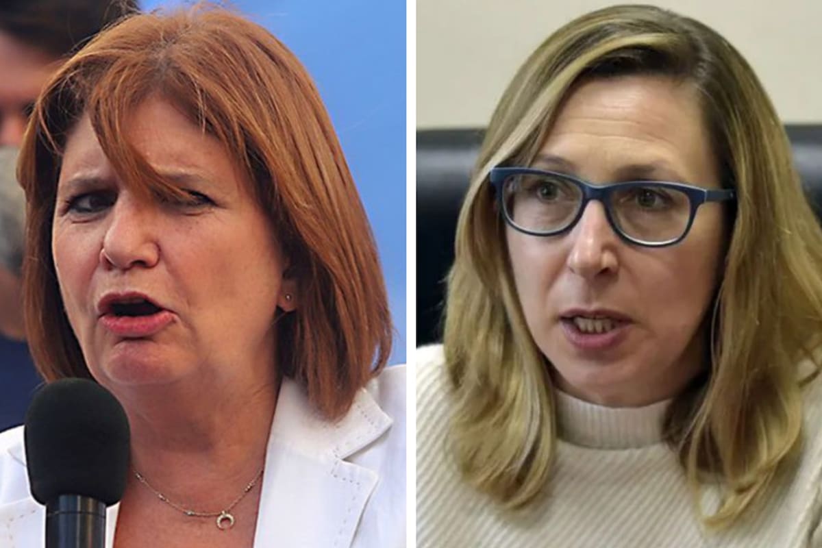 El fuerte cruce entre Patricia Bullrich y Myriam Bregman por la falta de neumáticos: “Burguesita represora”