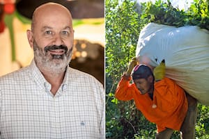 Sturzenegger apuntó contra un instituto y defendió la desregulación en la yerba mate