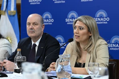 El funcionario de gobierno escuchó las intervenciones de los senadores