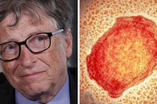 El fundador de Microsoft, Bill Gates, había alertado meses atrás sobre la aparición de focos de viruela en el mundo causados por ataques bioterroristas.