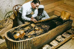 El furor por Egipto no para: en junio, llega a Buenos Aires "Experiencia Tutankamón"