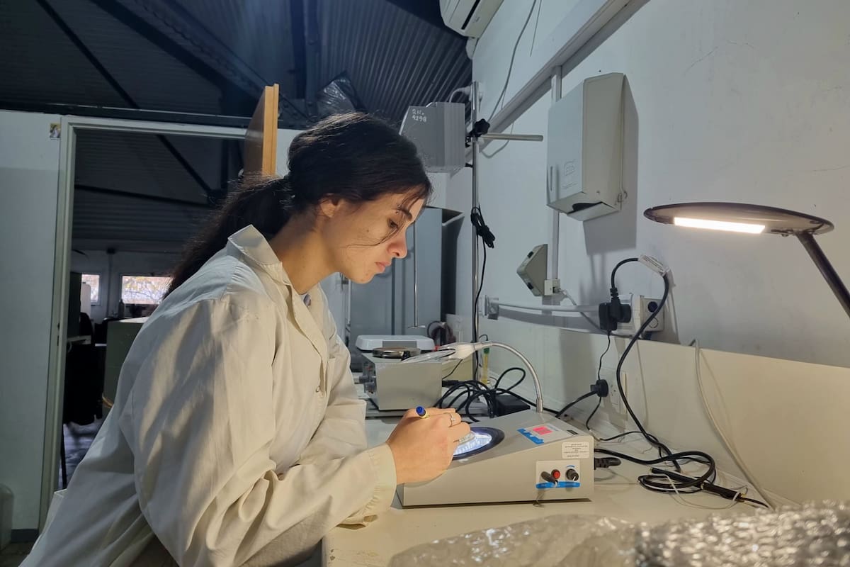 El fusarium es uno de los hongos que más pérdidas provoca en la producción agrícola por las micotoxinas que libera