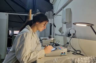 Aislaron bacterias que podrían frenar enfermedades de los cultivos