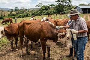 La iniciativa de Abbott en Texas que impacta directamente en el campo y sus trabajadores