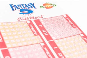 El ganador compró su boleto de Fantasy 5 en el Publix de 1478 West Granada Boulevard de Ormond Beach