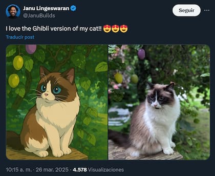 El gato de Janu Lingeswaran en versión Ghibli
