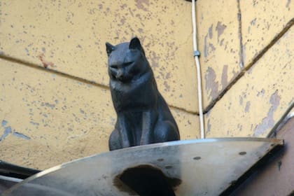 El gato Elisei cumple los deseos de los visitantes que les lancen una moneda y sean capaces de que ésta quede en el pedestal del monumento en las calles rusas y su homenaje a los gatos de la guerra