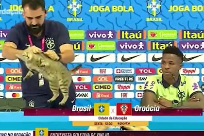 El gato en la conferencia de prensa de Brasil