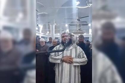 El gato fue uno de los animales preferidos por el profeta Mahoma, el fundador del Islam (Foto: Twitter @wallstwolverine)