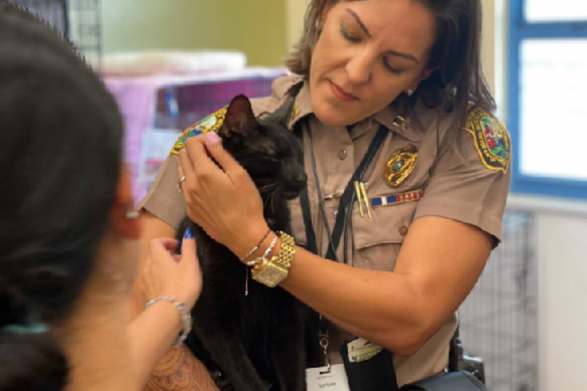 El gato junto con los rescatistas