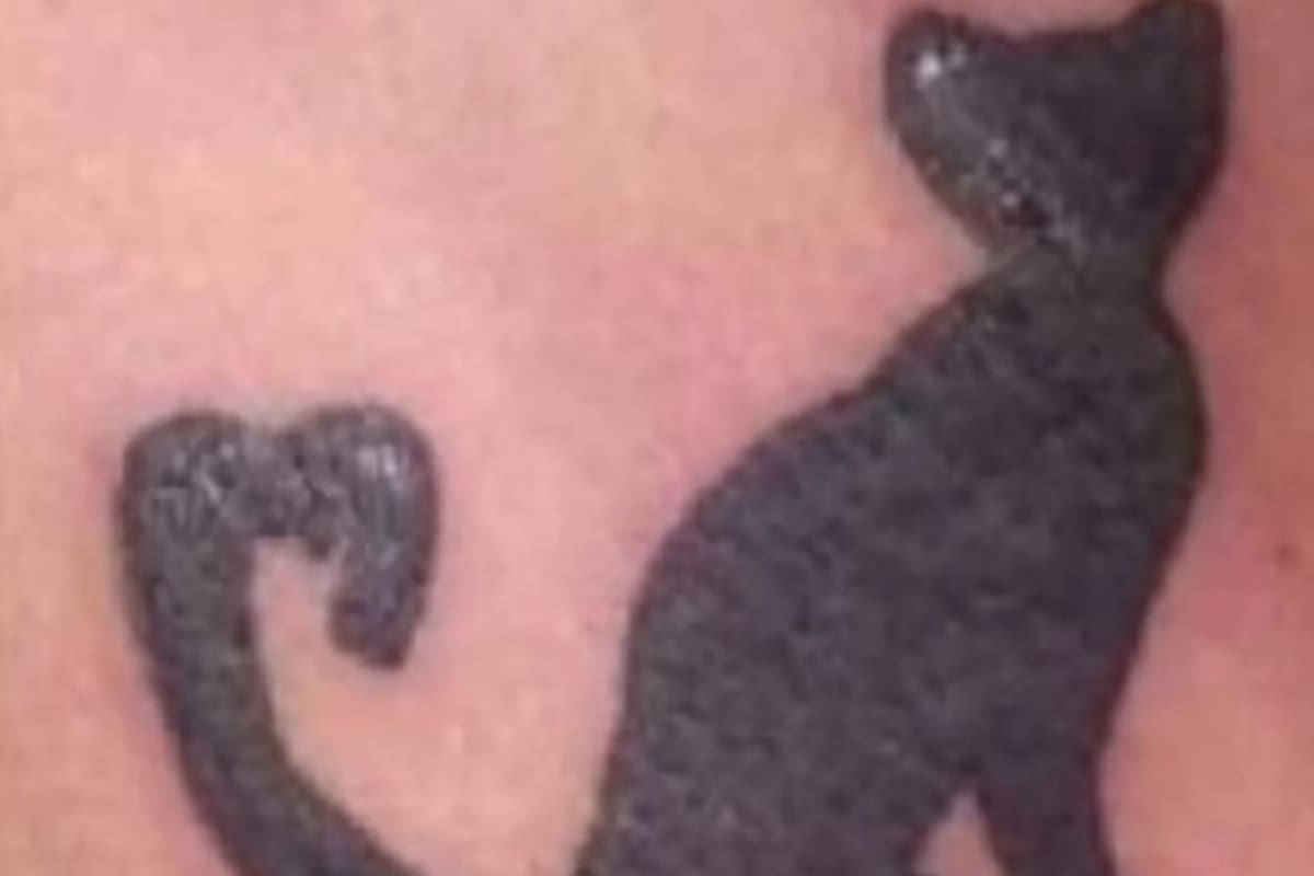 El gato negro que la joven quería taparse pero que terminó hasta destacándose en el nuevo diseño