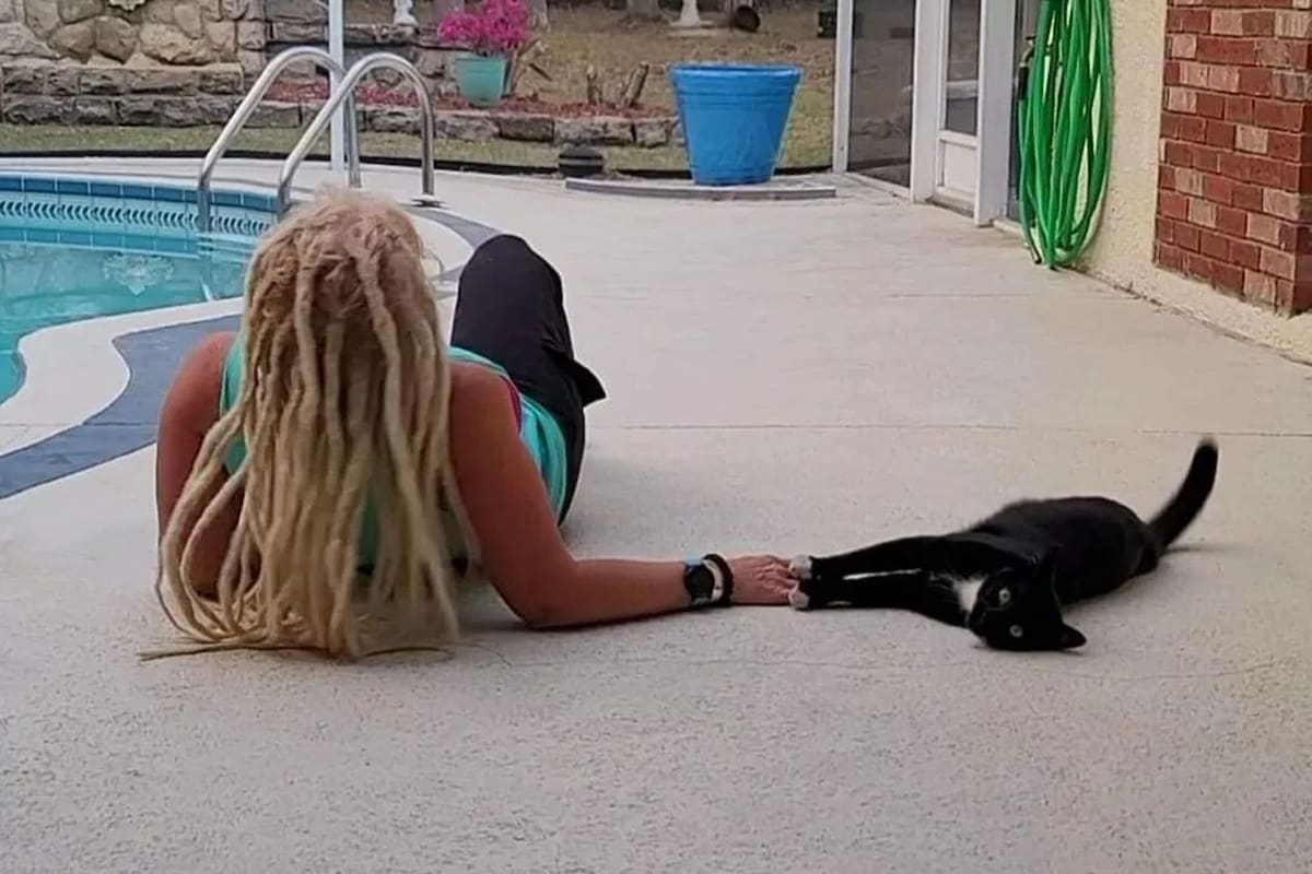 El gato parecía saber que ella necesitaba contención.