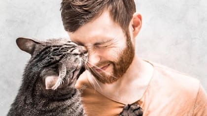 El gato se frota con sus dueños por varias razones