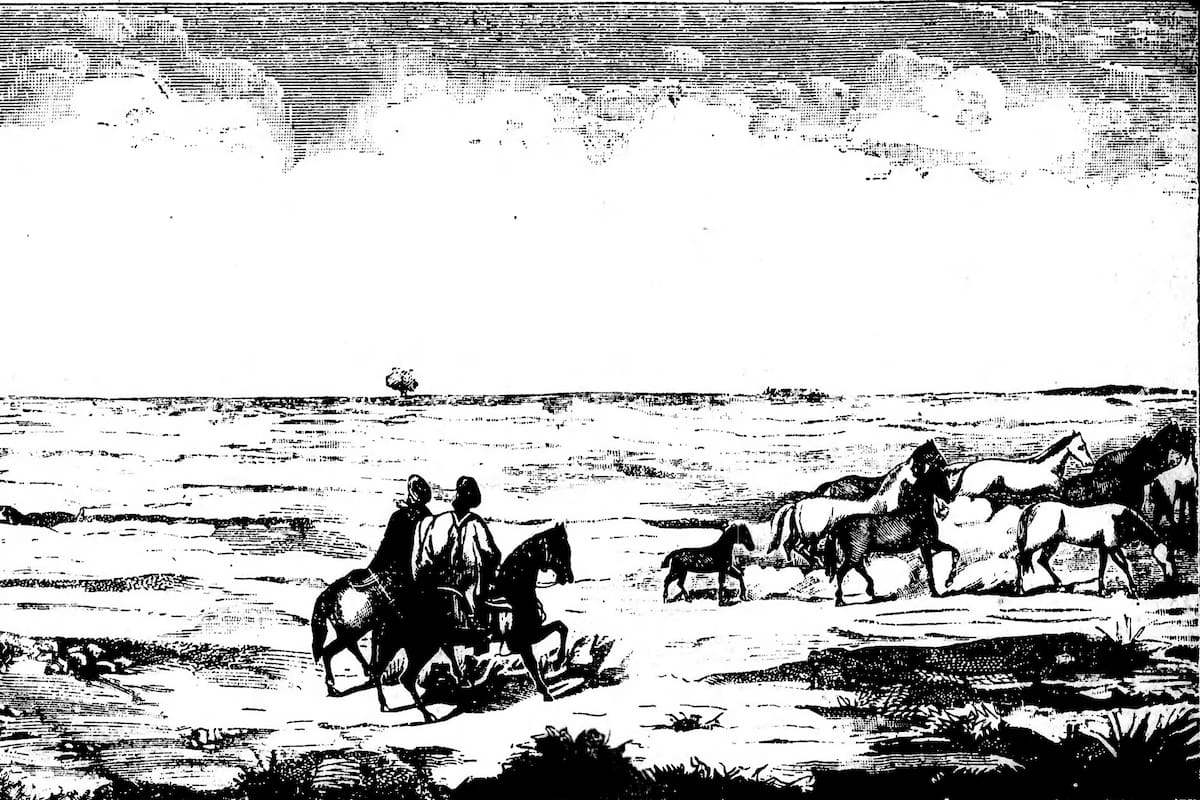 El Gaucho Martin Fierro - ilustracion del libro