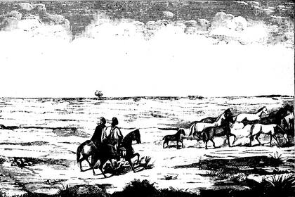 El Gaucho Martin Fierro - ilustracion del libro