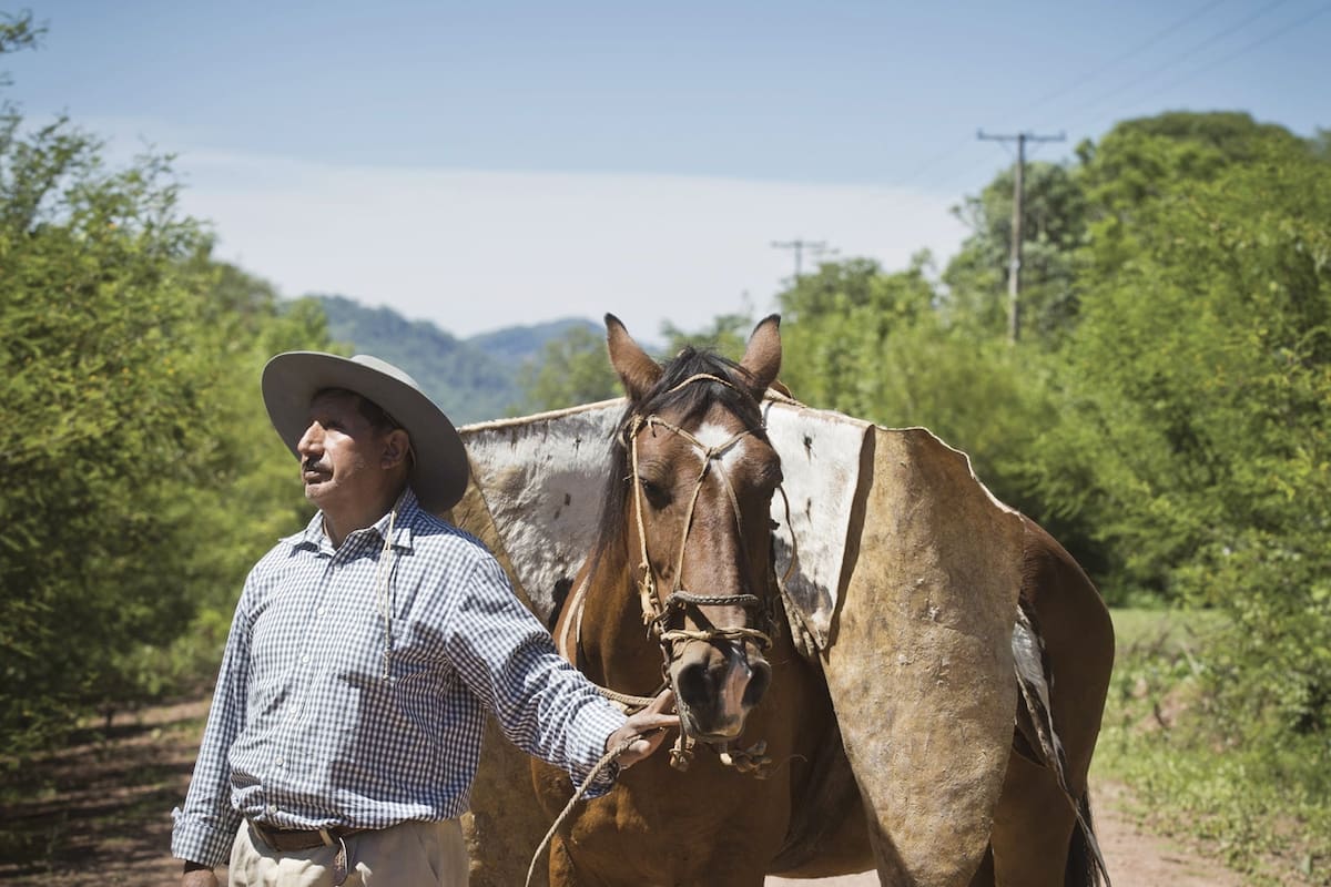 El gaucho no conocía la idea de orden, de respeto o de propiedad