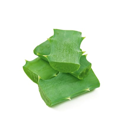 El gel de aloe, presente en las hojas, es refrescante e hidratante, otorga alivio inmediato