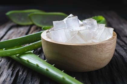 El gel de aloe vera también se puede usar en el cuero cabelludo para aliviar irritaciones