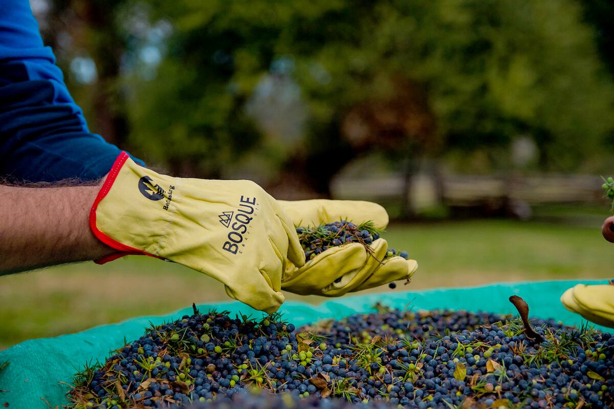 El gin en su proceso artesanal