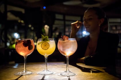 El gin es hoy una bebida en auge, lo que se verifica por la creciente oferta de gin tonics en bares y cervecerías argentinos