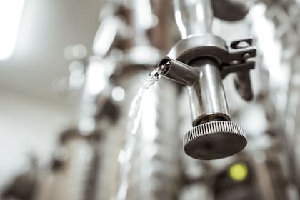 El gin ofrece cada vez más variedades, incluyendo versiones locales