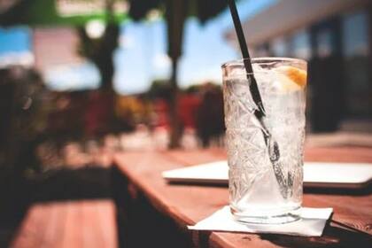 El gin se realiza a base de la quinina. Foto: Pexels