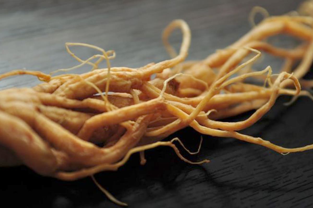 El ginseng es un estimulante que puede tener efectos similares a la cafeína.