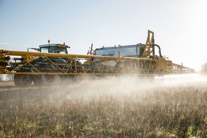 El glifosato representa buena parte de los US$3700 millones del negocio de herbicidas de Monsanto