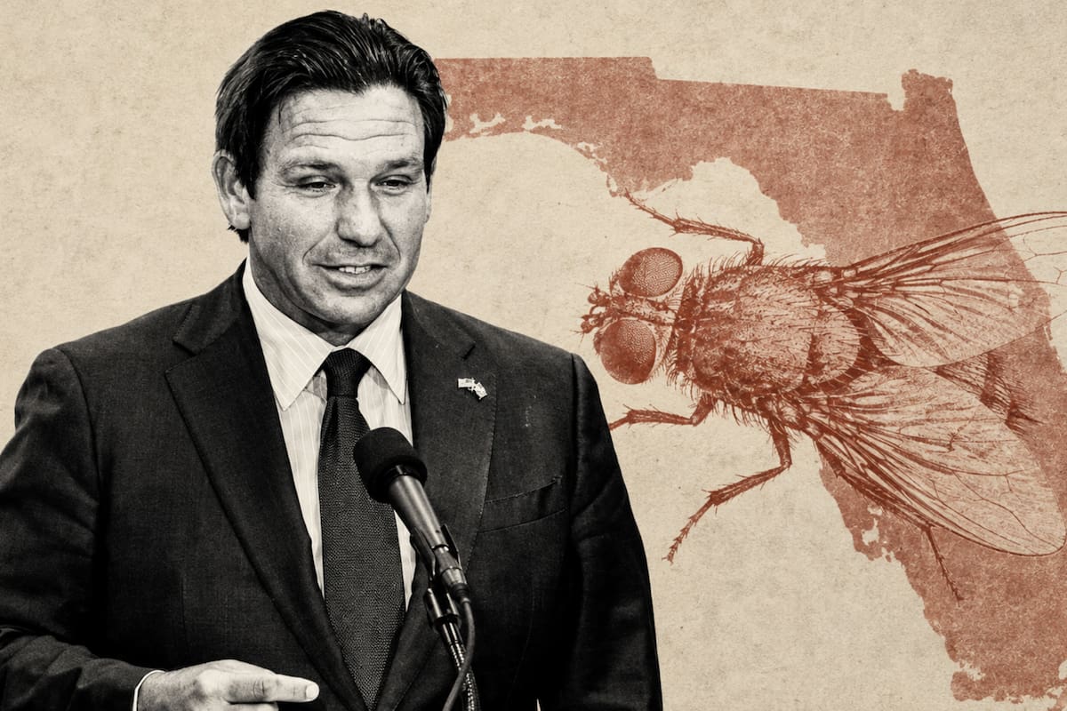 El gobernador de Florida, Ron DeSantis, firmó la Orden Ejecutiva 26-163 para renovar por 60 días más la declaración de emergencia en todo el estado