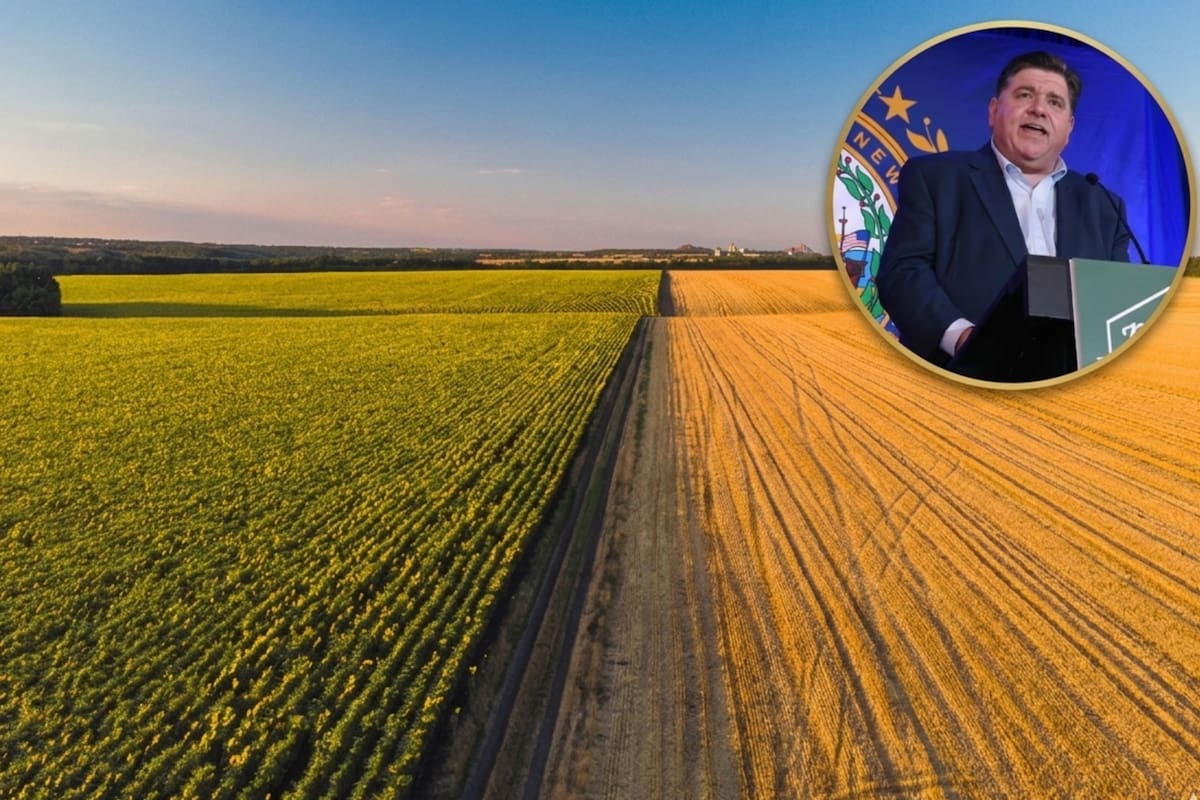 El gobernador de Illinois, JB Pritzker, alertó sobre el impacto de los recortes federales en la producción de soja, sector donde el estado es líder nacional