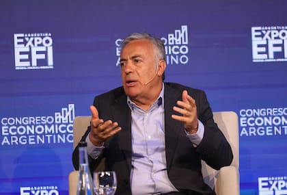 El gobernador de Mendoza, Alfredo Cornejo respalda el plan económico del gobierno de Javier Milei