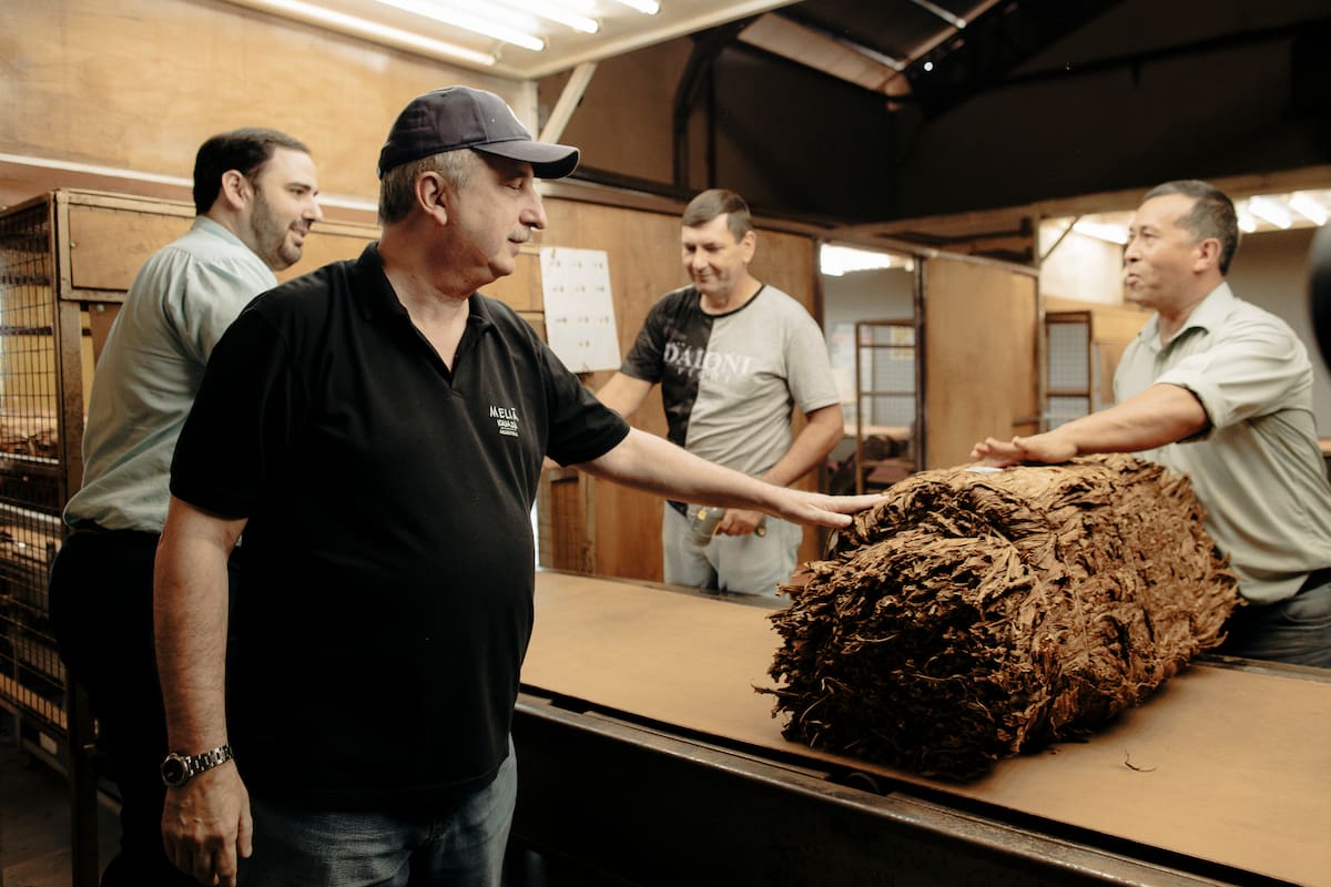 El gobernador Hugo Passalacqua y el intendente de Alem, Matías Sebely, saludan a dos trabajadores del tabaco