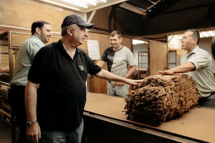 El gobernador Hugo Passalacqua y el intendente de Alem, Matías Sebely, saludan a dos trabajadores del tabaco