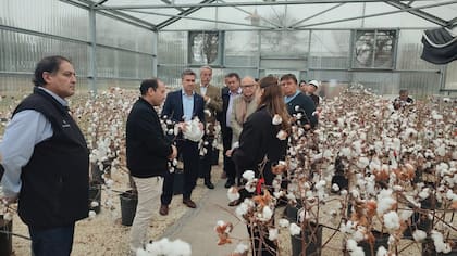 El gobernador Leandro Zdero recorrió las instalaciones de la planta y el invernáculo