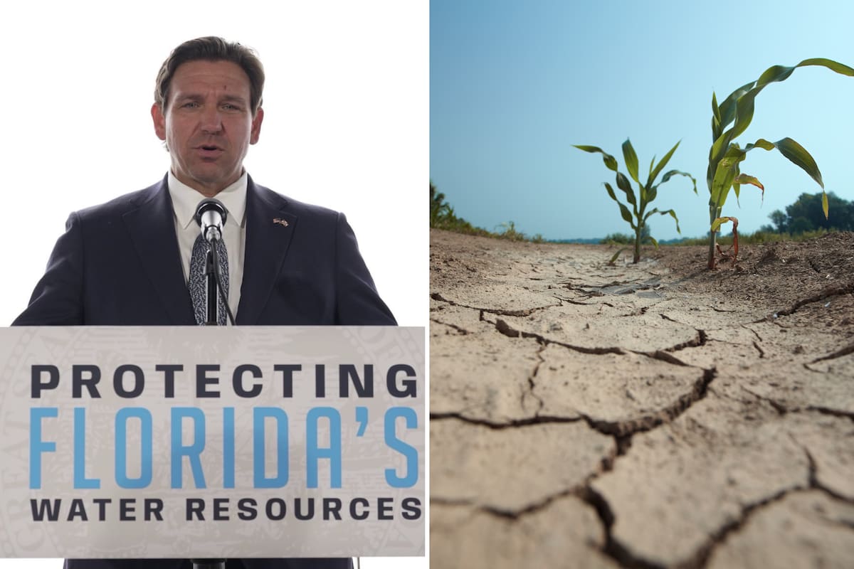 El gobernador Ron DeSantis firmó la Orden Ejecutiva 26-33 para facilitar la cosecha de emergencia y acelerar la recuperación del sector agrícola