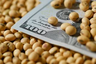 Advierten que el Gobierno debería  dar “un incentivo” para que se acelere la venta de la cosecha