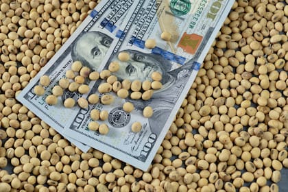 El Gobierno anunció un tipo de cambio diferencial para la soja y las economías regionales a $300