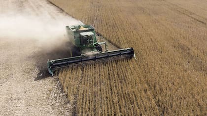 El Gobierno anunció una nueva baja de retenciones para el campo